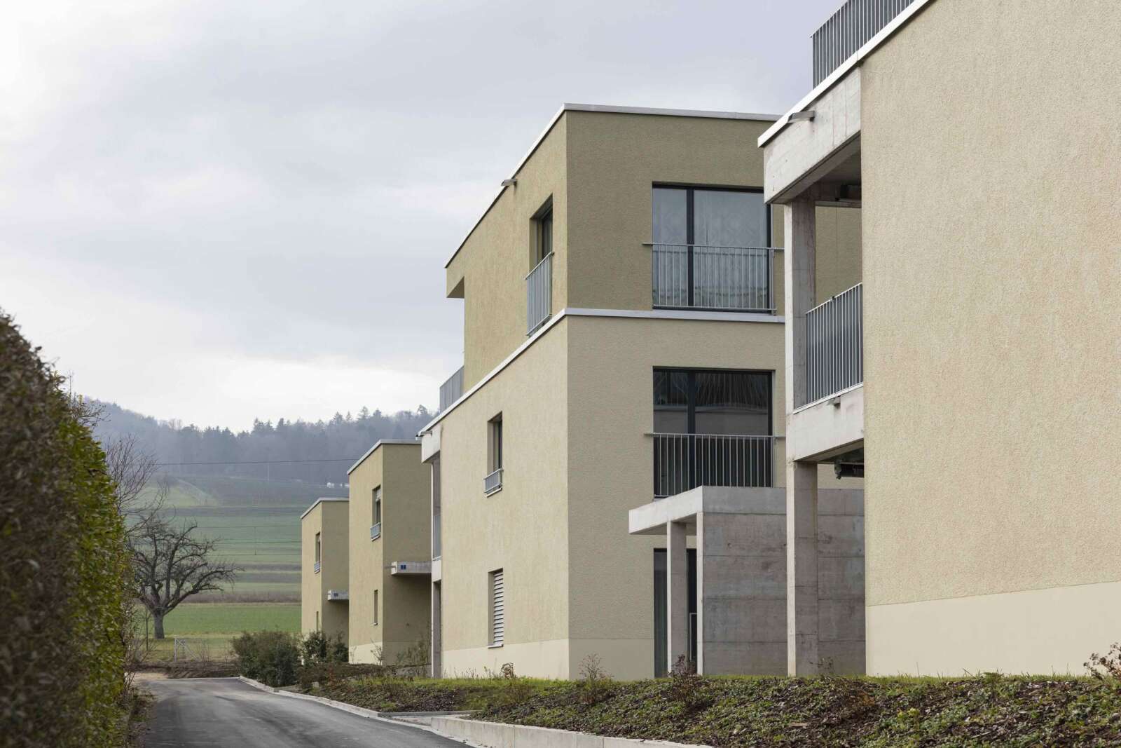 Orlando Architektur Neubau Wohnsiedlung Chruezgaessli Eschenz 14 Volumetrie Seite Areal Mehrfamilienhaeuser Einfamilienhaeuser