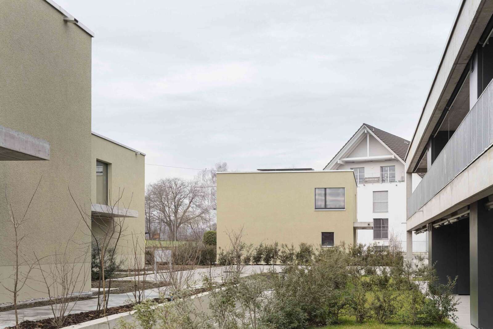 Orlando Architektur Neubau Wohnsiedlung Chruezgaessli Eschenz 15 Perspektive Hof Einfamilierhaeuser