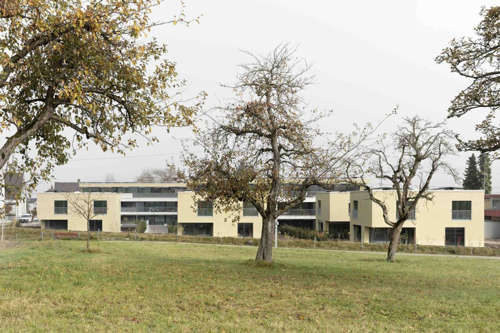 Orlando Architektur Neubau Wohnsiedlung Chruezgaessli Eschenz 16 Sued Ansicht