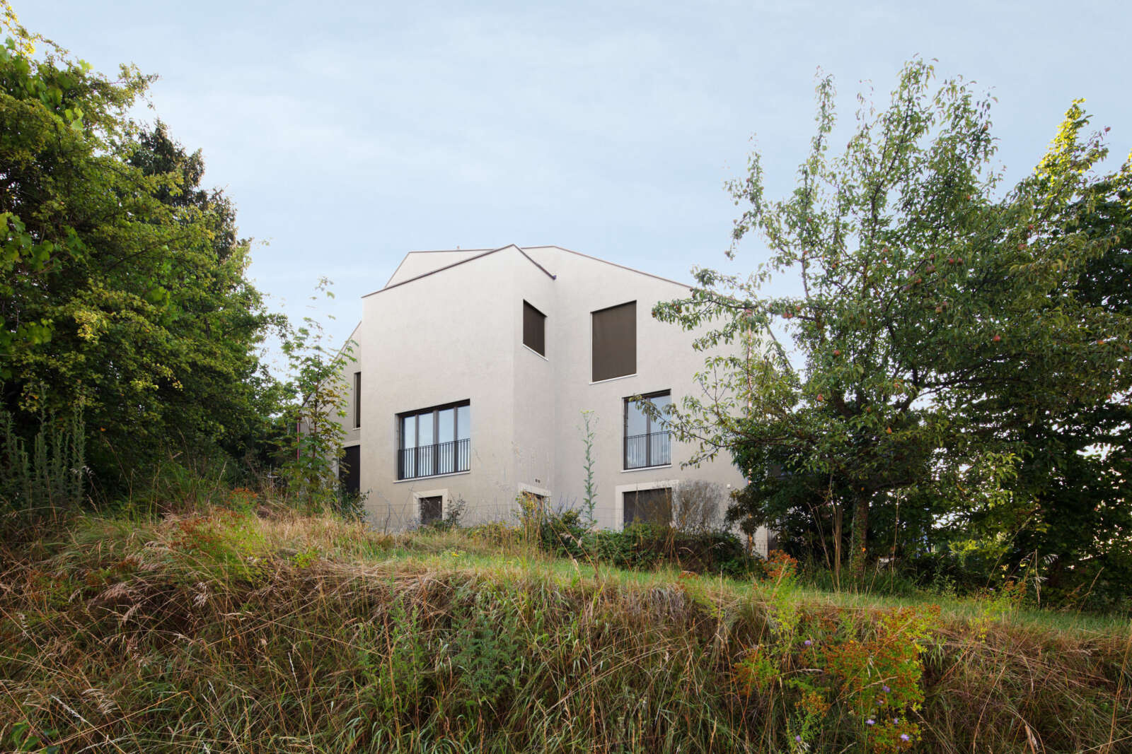 Orlando Architektur Neubau Wohnhaus Steineggstrasse Wiesendangen 2 Längsfassade Hang